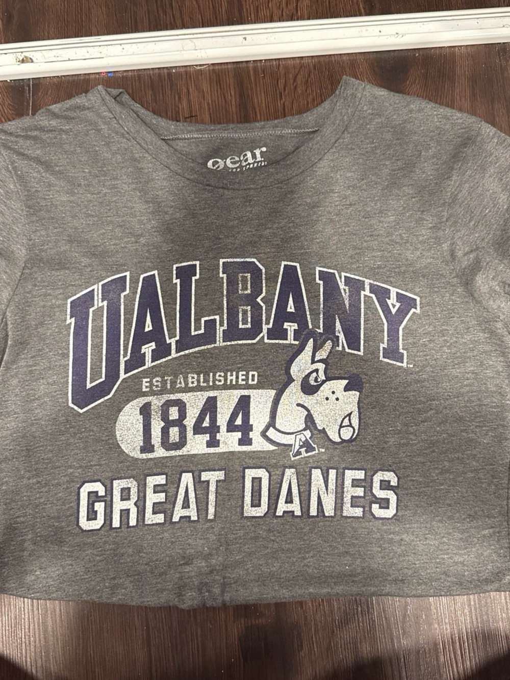 Albany Great Danes Grey Kids Graphic T-Shirt